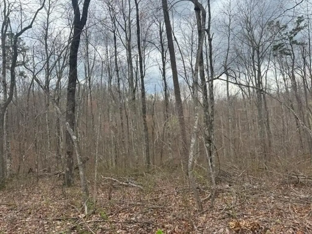 Picture 42