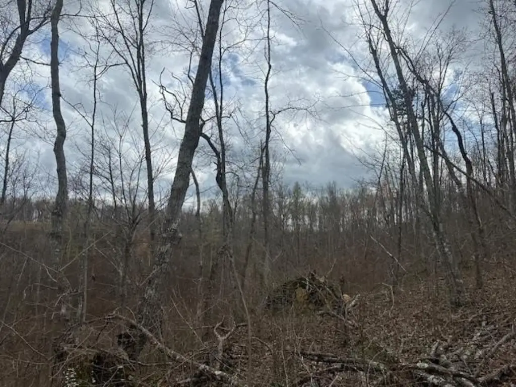 Picture 36