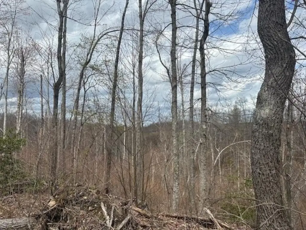 Picture 33