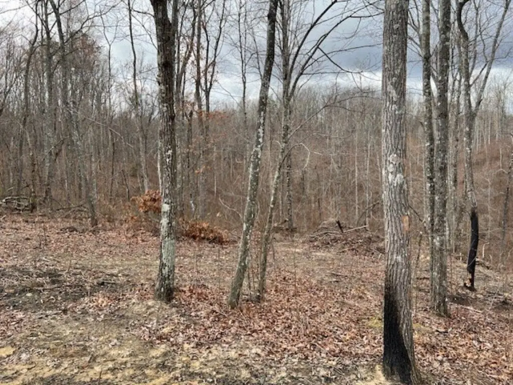 Picture 22
