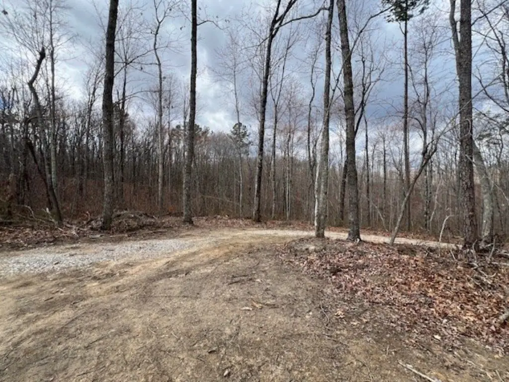 Picture 28