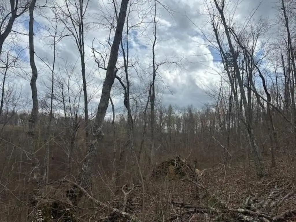 Picture 35