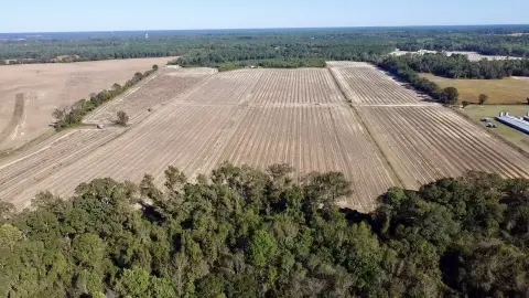 57-Acre Farmland in Snow Hill