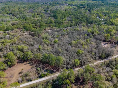 Wooded Homesite in Ridge Manor