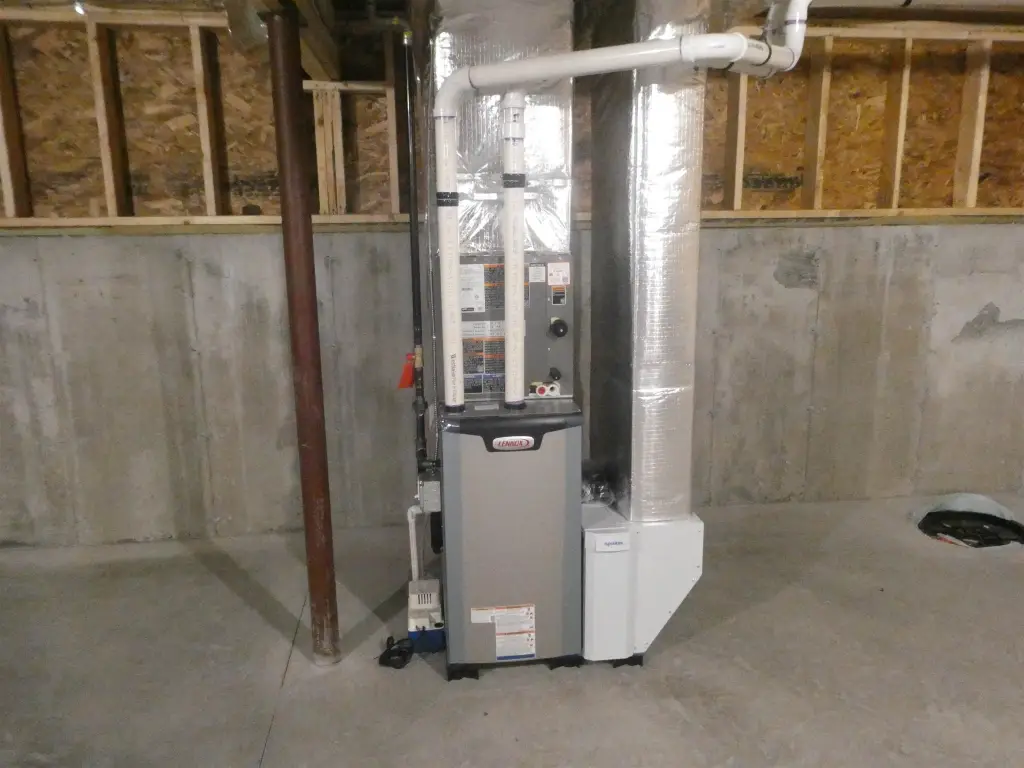 Picture 14