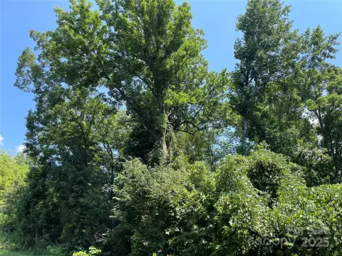 Land in China Grove, NC