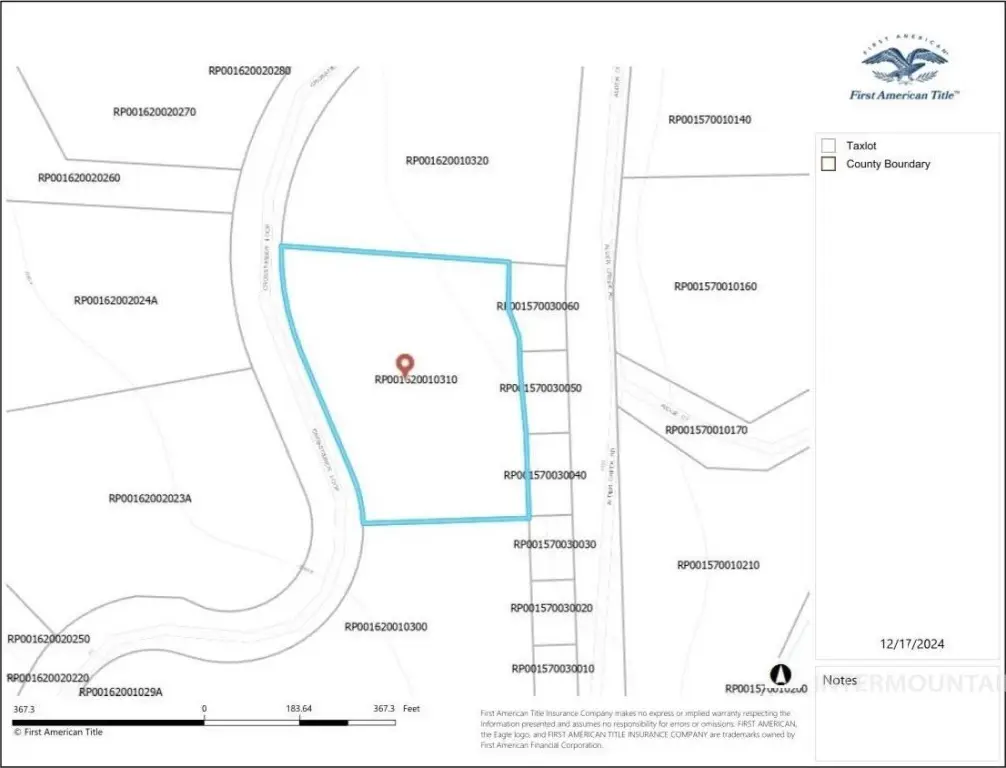 Picture 18