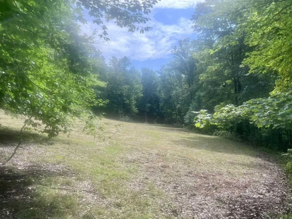 Picture 14