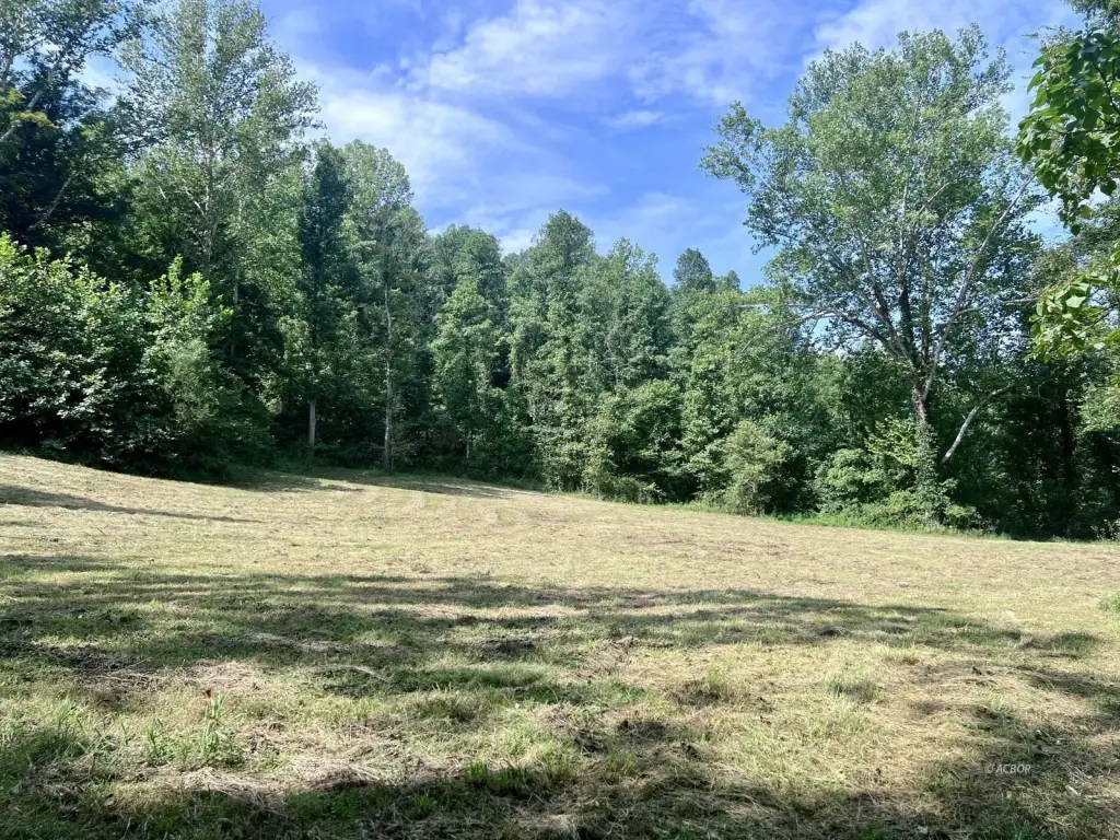 Picture 22