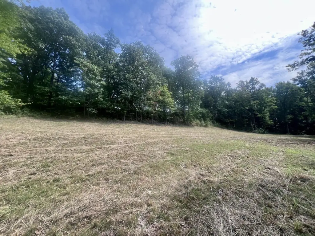 Picture 13