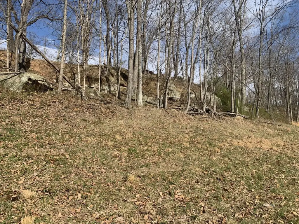Picture 25