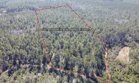 Vacant Land Near Cottageville, SC