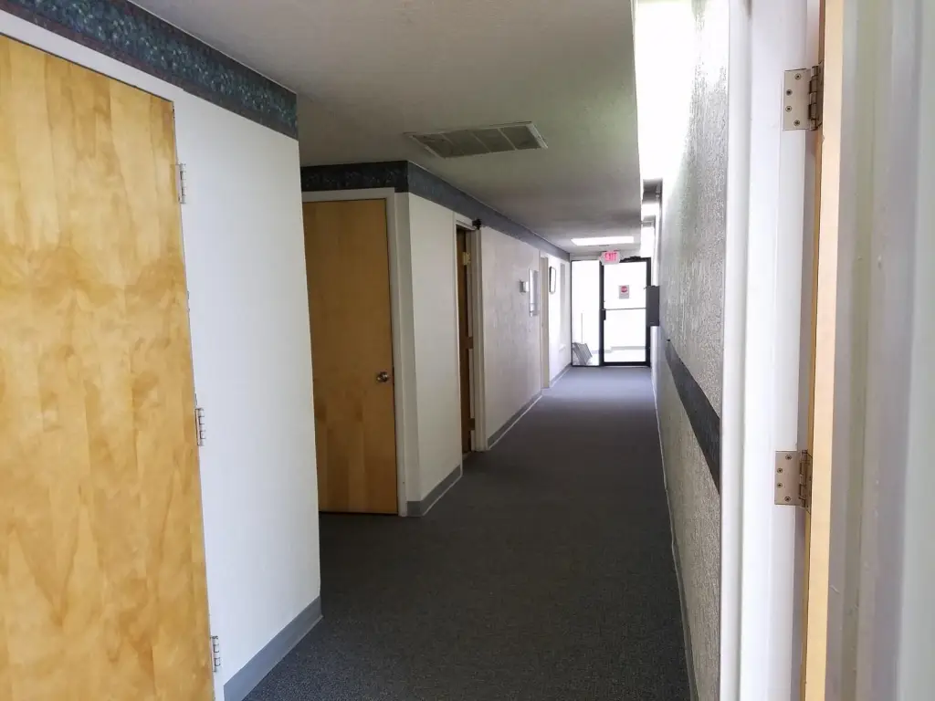 Picture 6