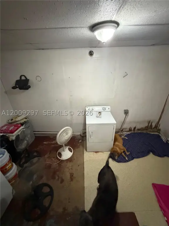 Picture 21