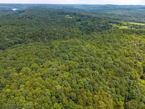 Appomattox Land Parcel For Sale