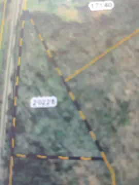 2.5 Acres Wooded Land