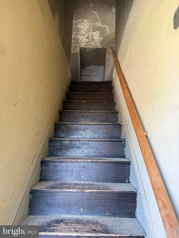 Picture 24