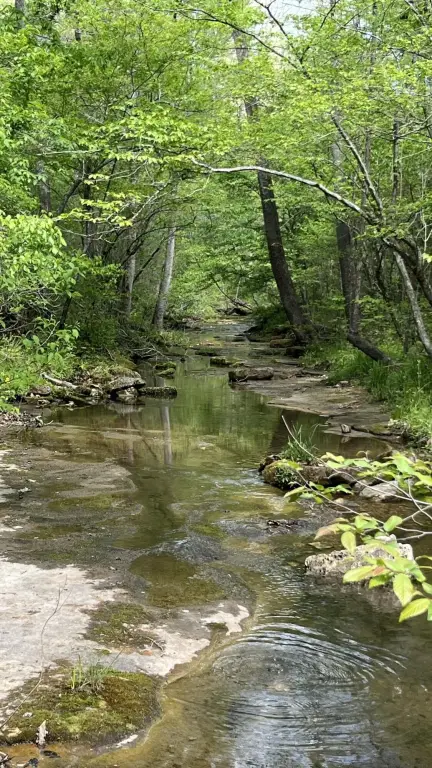 Picture 4