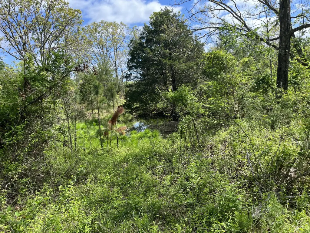 Picture 17