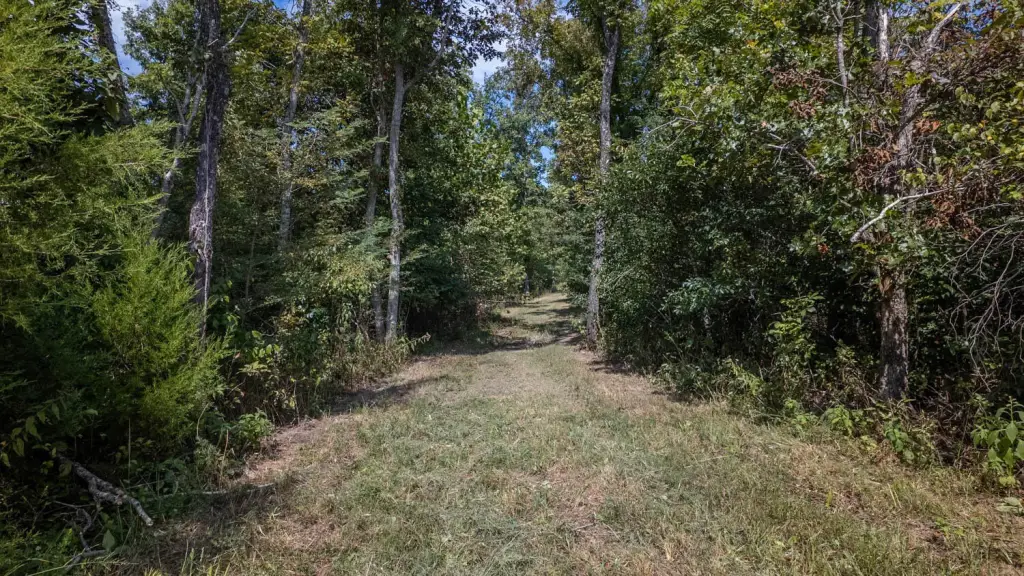 Picture 23