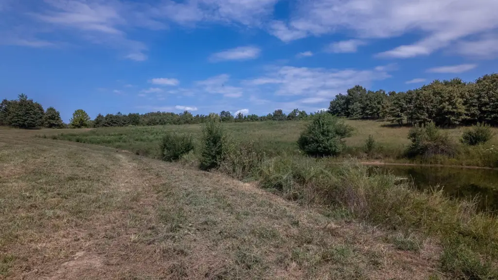 Picture 26