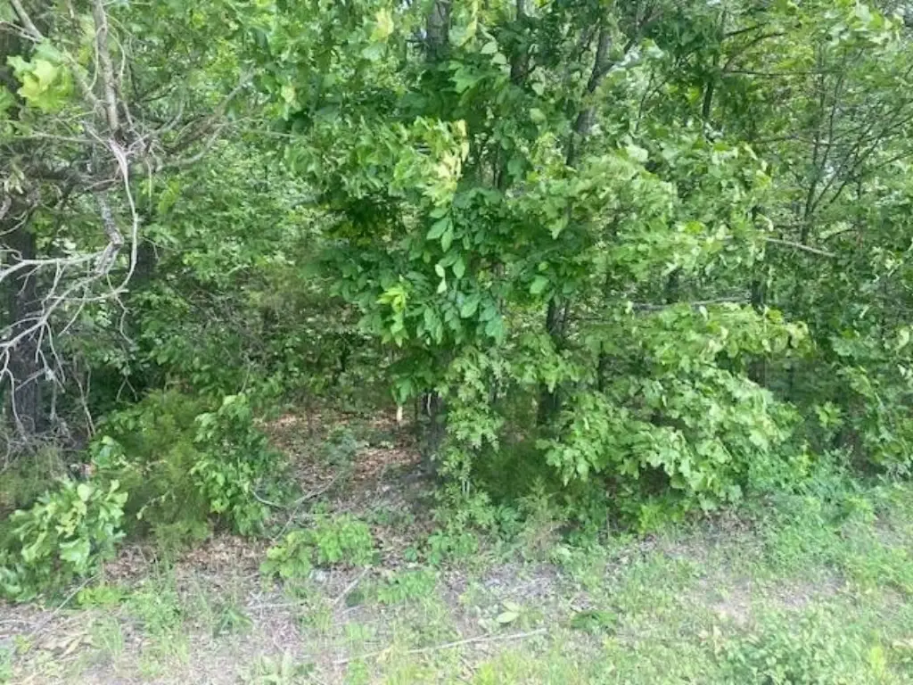 Picture 5