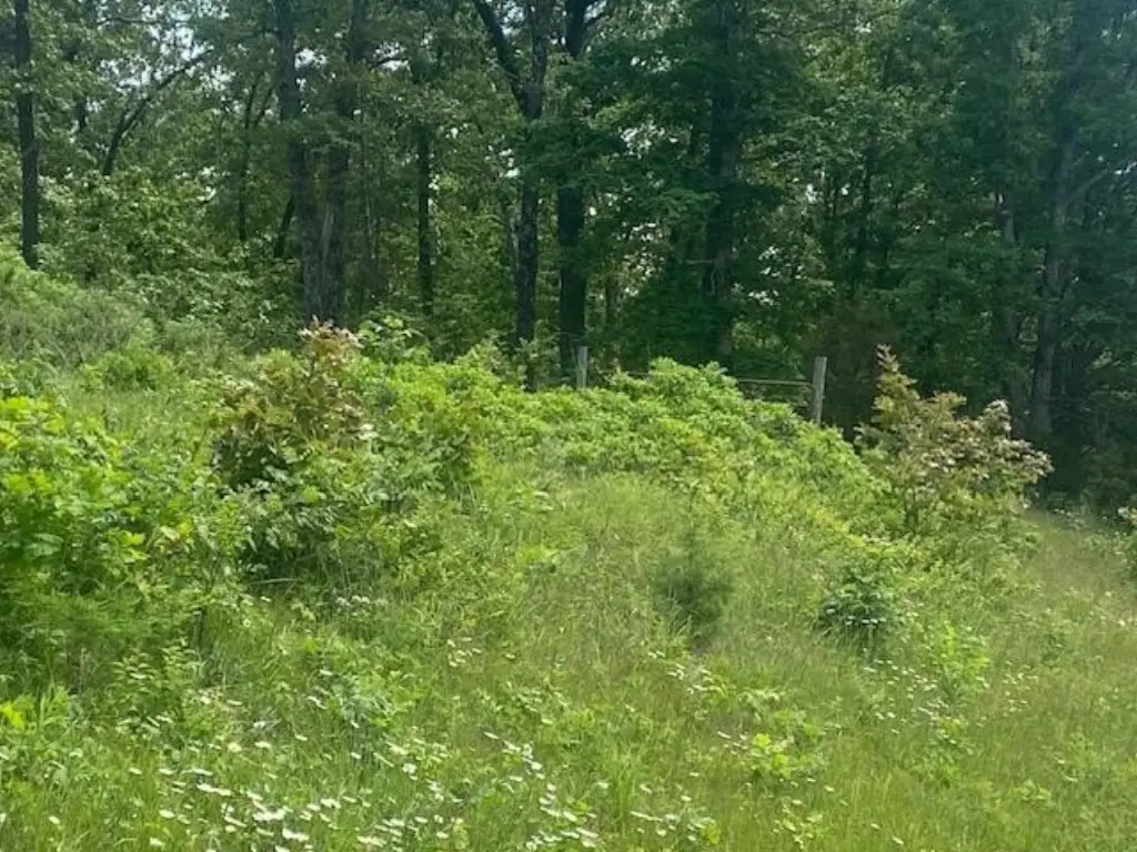 Picture 11