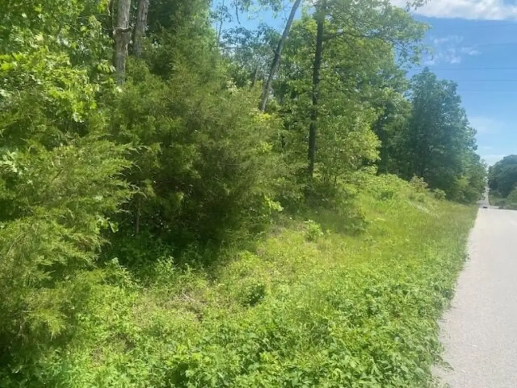 Picture 10