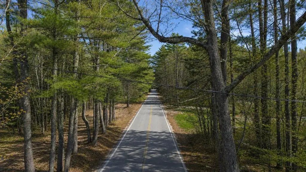Picture 7