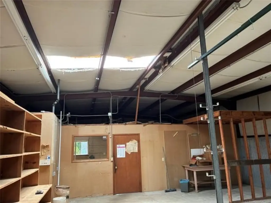 Picture 5