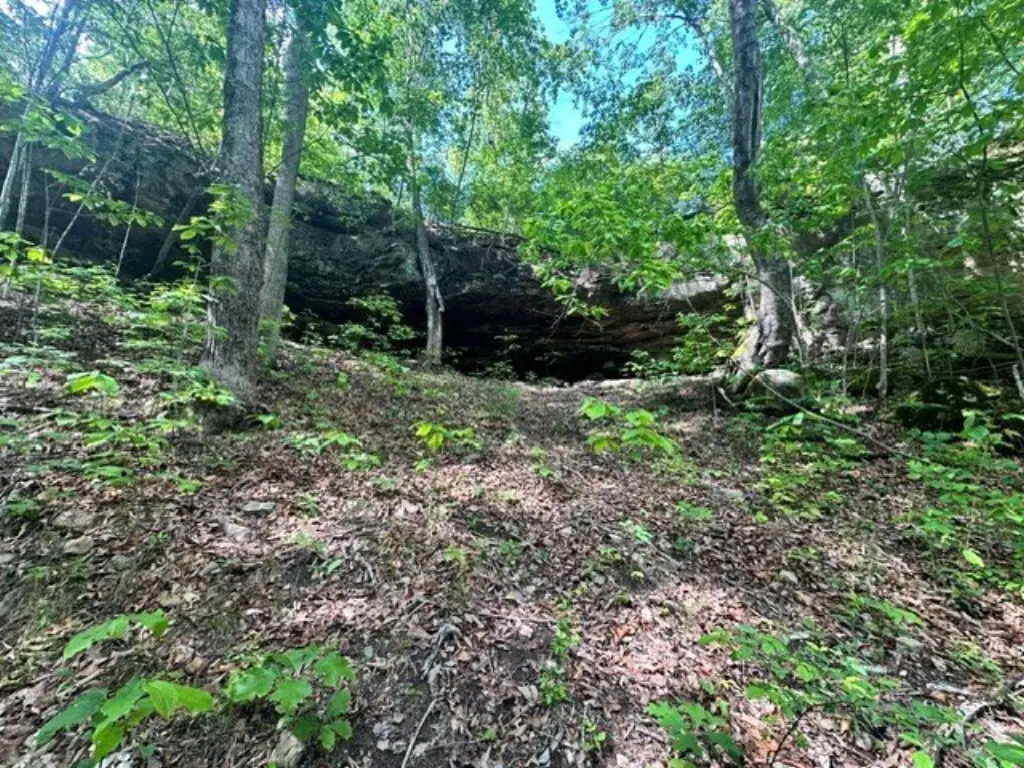Picture 5