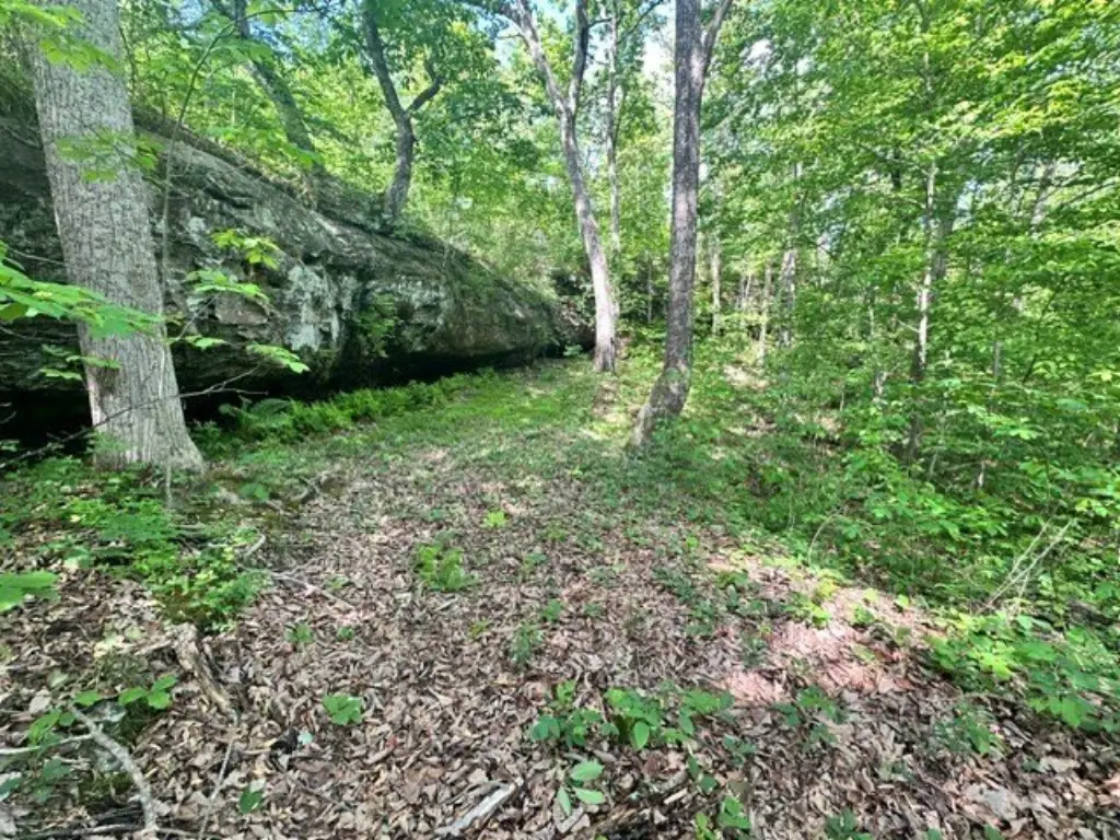 Picture 6