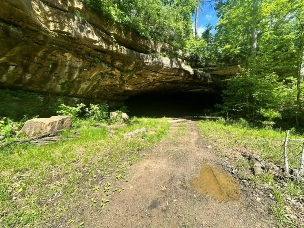 Picture 4