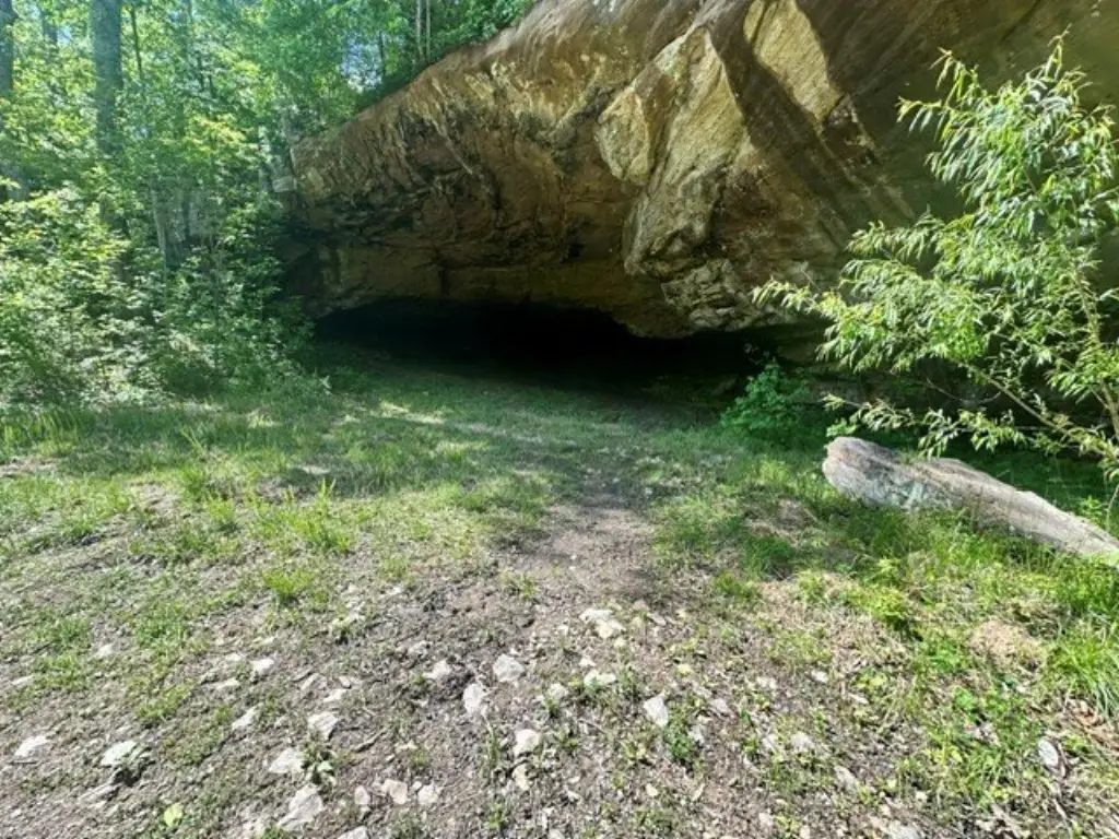 Picture 3