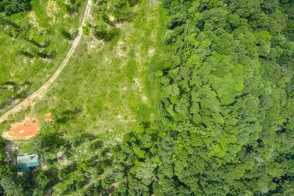 Picture 2