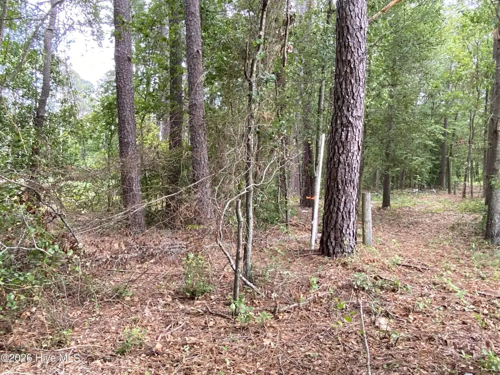 Picture 27