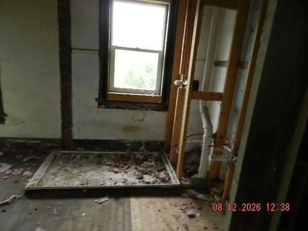 Picture 21