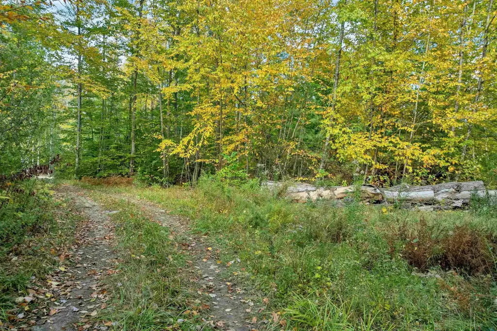 Picture 26