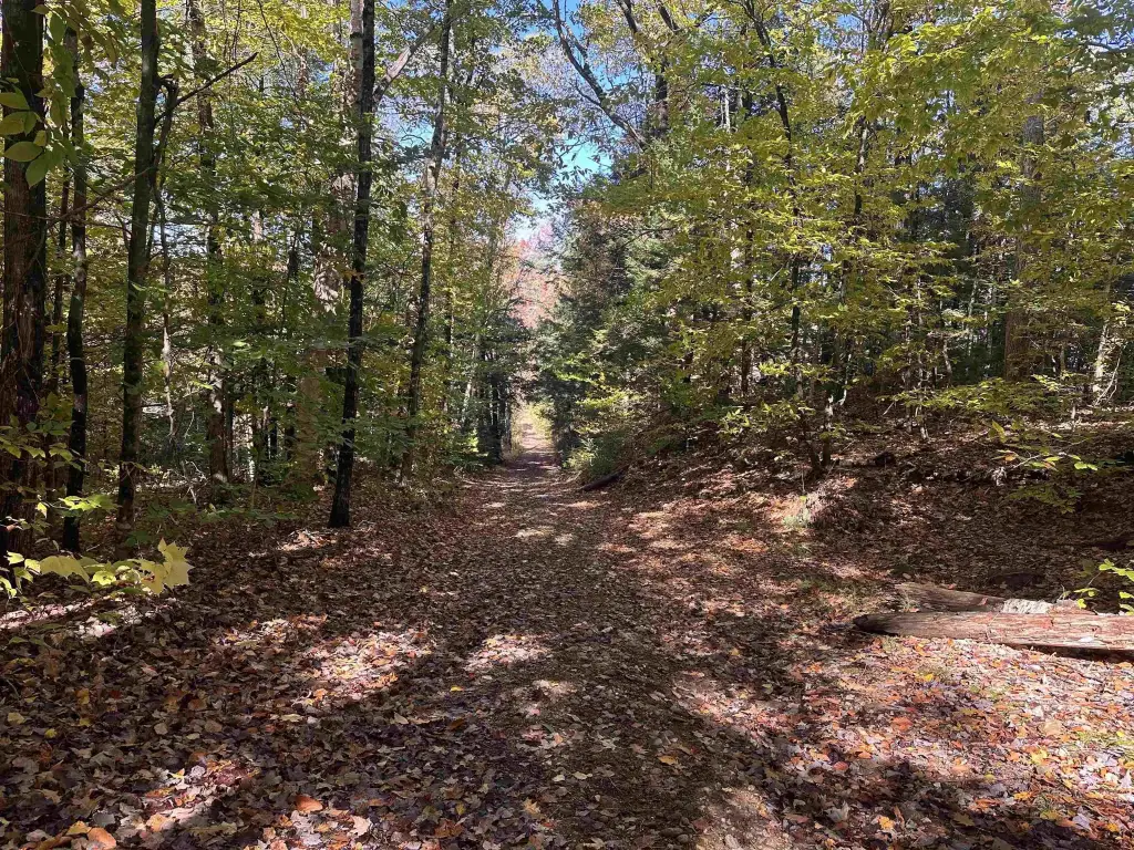 Picture 28