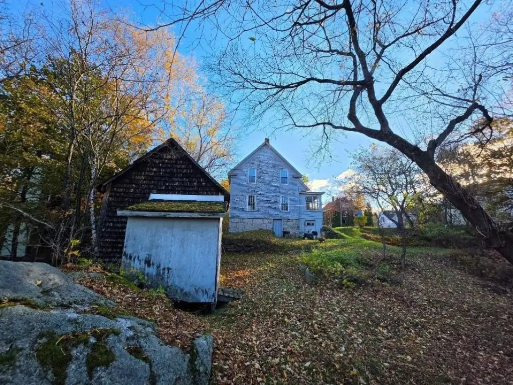 Picture 6