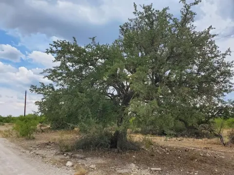 63.43 Acres in Fort Mckavett