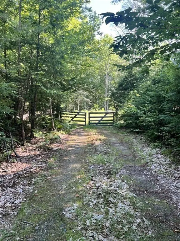 Picture 21
