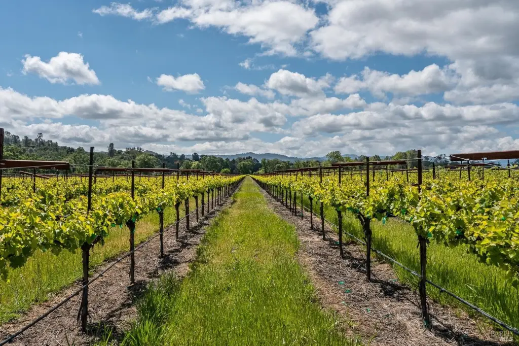 Picture 11
