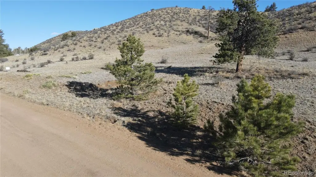 Picture 20