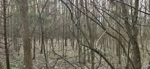 2.436 Acres in Blanchester, OH