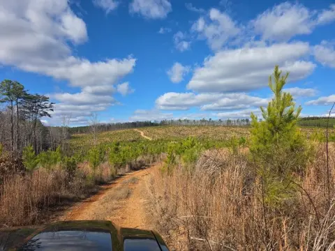 206 Acres of Hunting Land