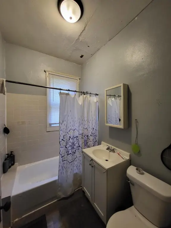 Picture 14
