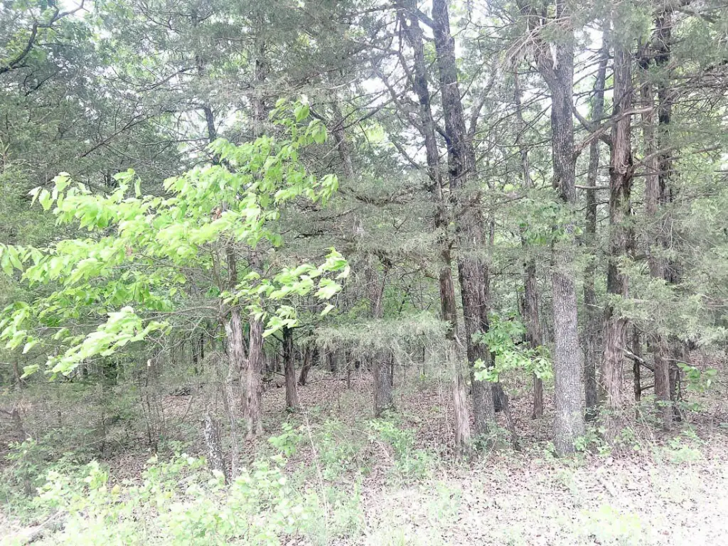 Picture 2