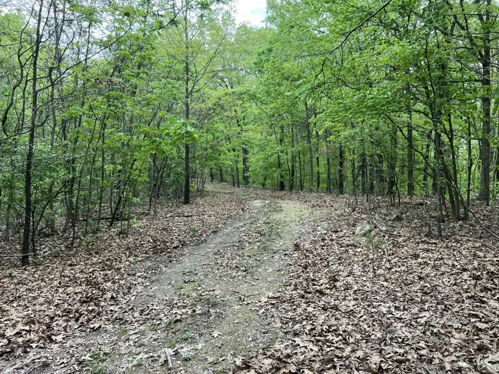 Picture 19