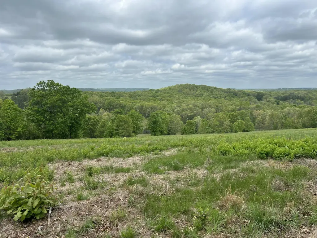 Picture 18